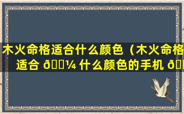 木火命格适合什么颜色（木火命格适合 🌼 什么颜色的手机 🐧 壳）